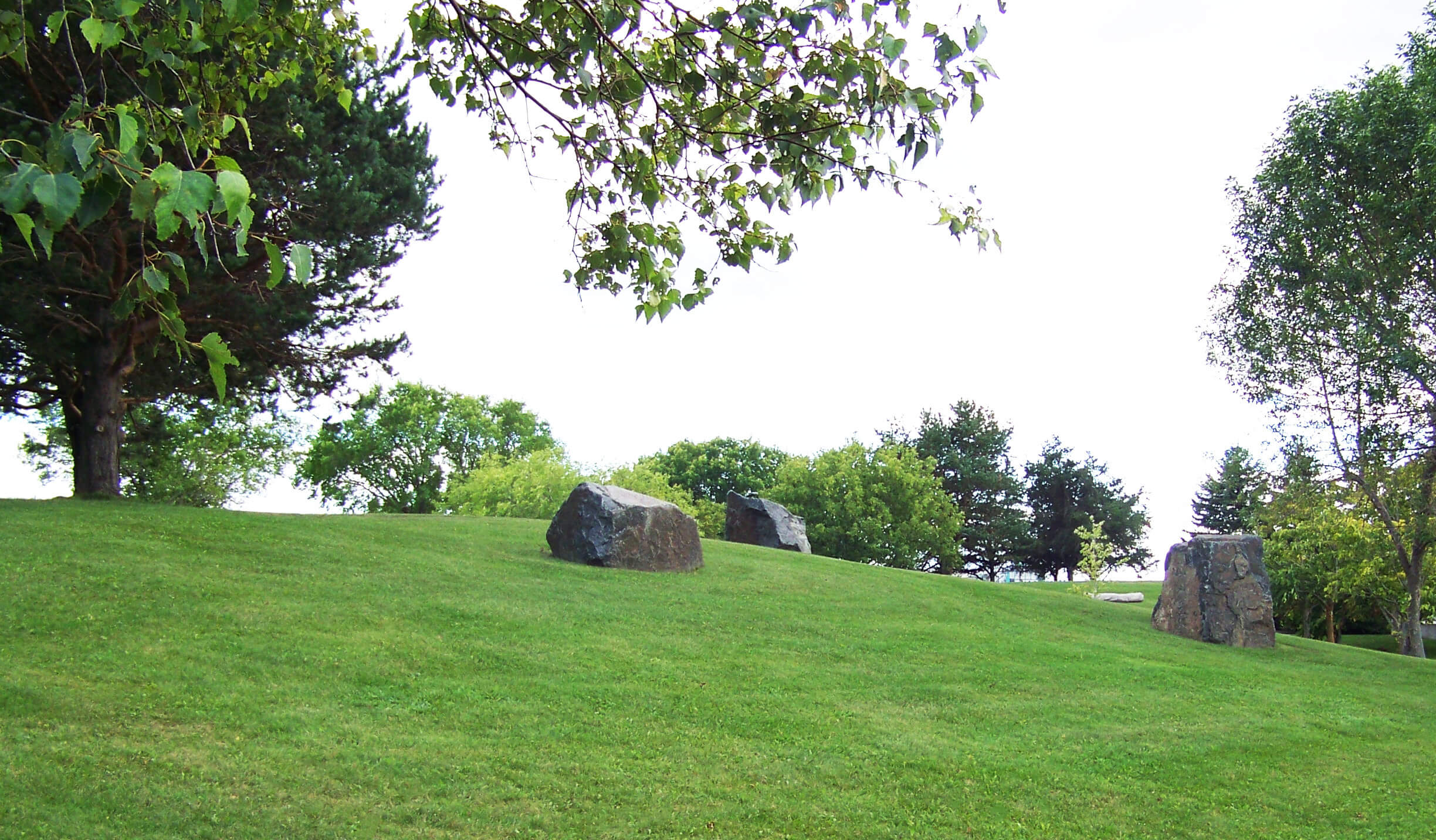 Large Rocks in a field